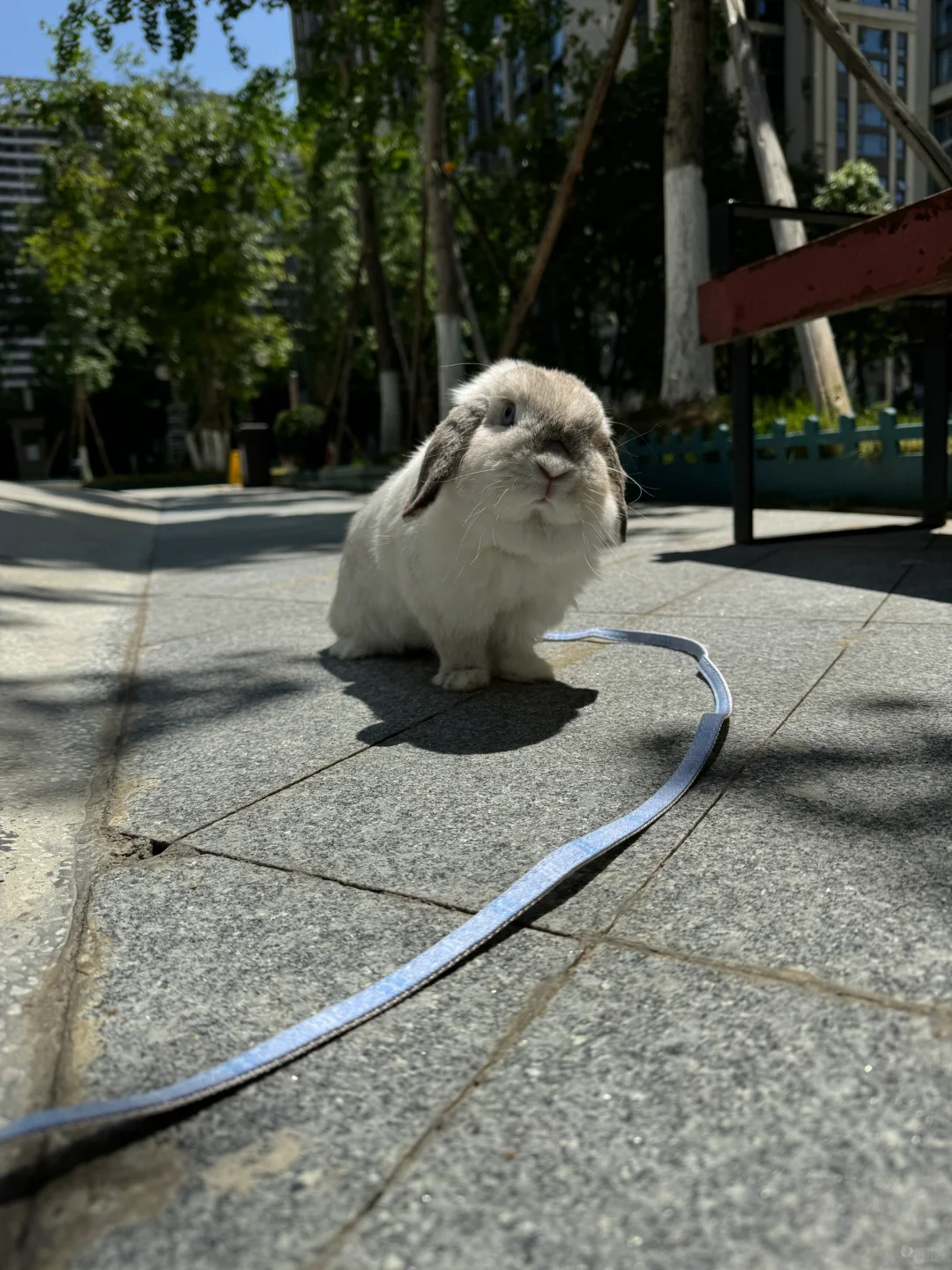 眼神坚定得像要入党