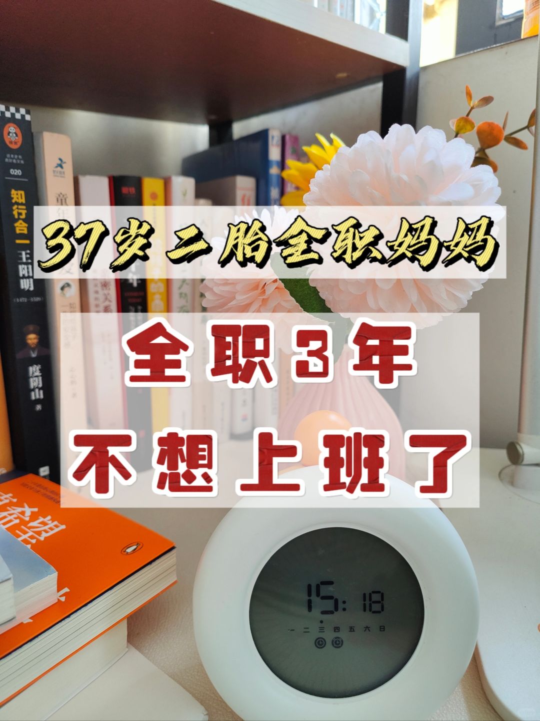 37岁二胎全职妈妈，不想上班啦！