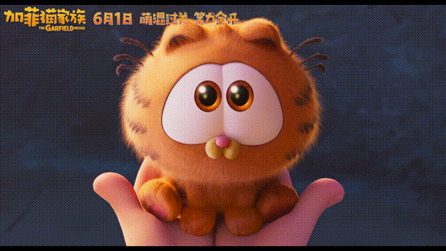 #幼年的加菲猫 浓缩的可爱# 幼年的加菲猫简直就是萌化人心的存在！每次看到它那懒