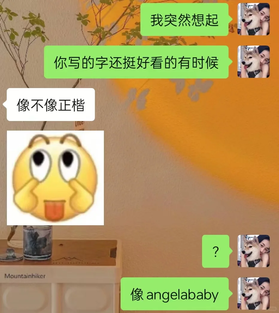 人怎么可以有梗成这个程度