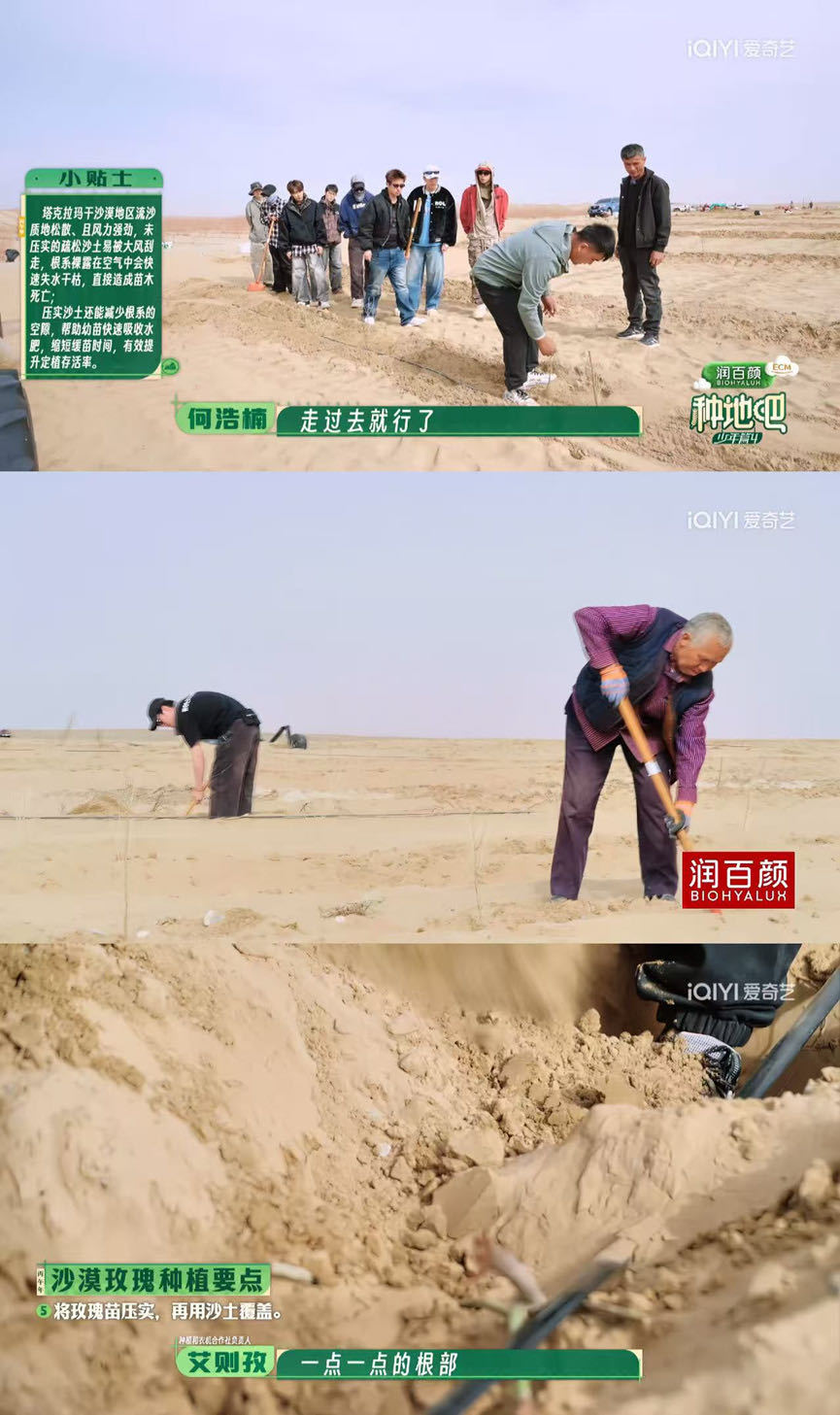 跟着十个勤天看沙漠种花少年们扎根荒漠开垦土地，用汗水浇灌沙地里的希望之花。把荒芜