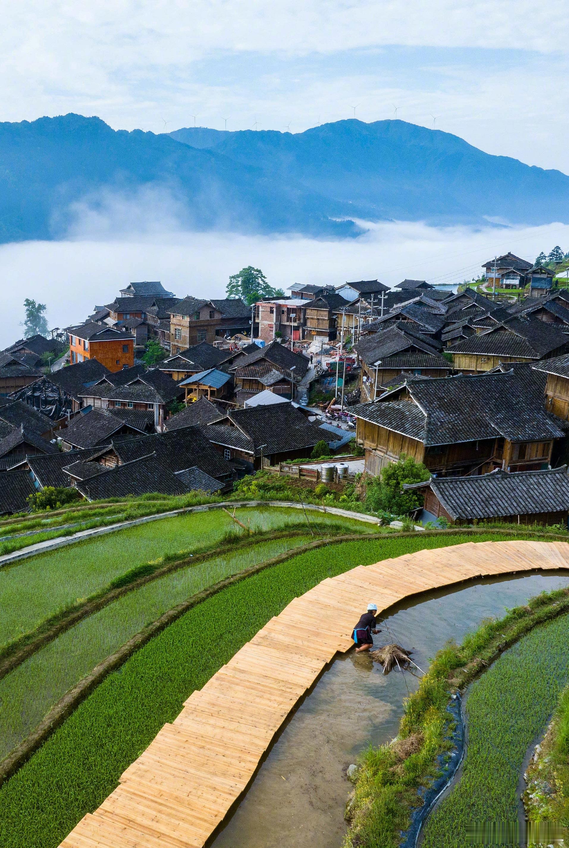 今天2025最后一个周日  岁末年初，日短宵长，最忆是老屋檐下的灯影，是围炉煮饺