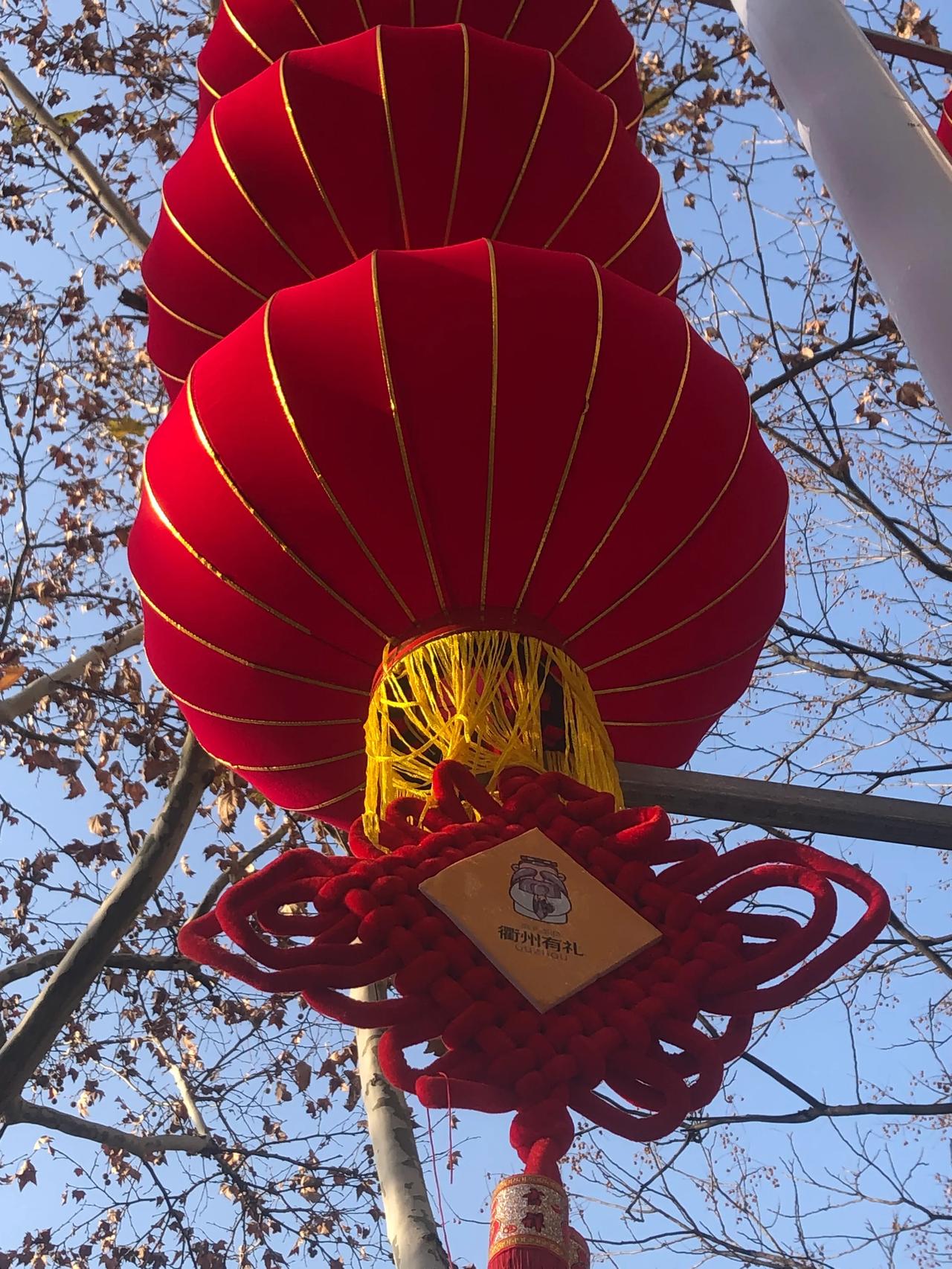 满街红灯笼高高挂起了
新的一年开始了
昨日炮竹声中旧岁除
烟花满天新年来哦
新的
