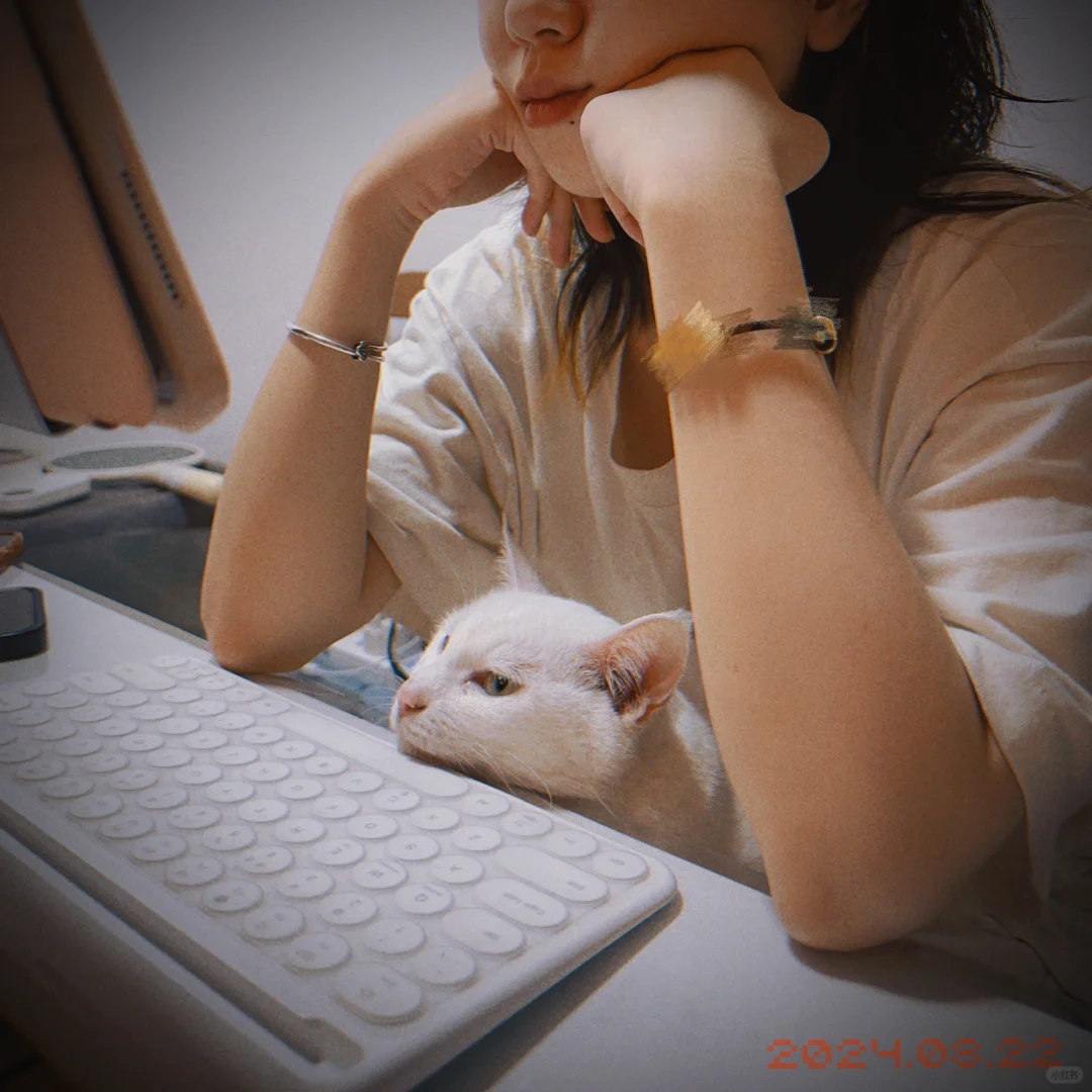 没事，我有小猫