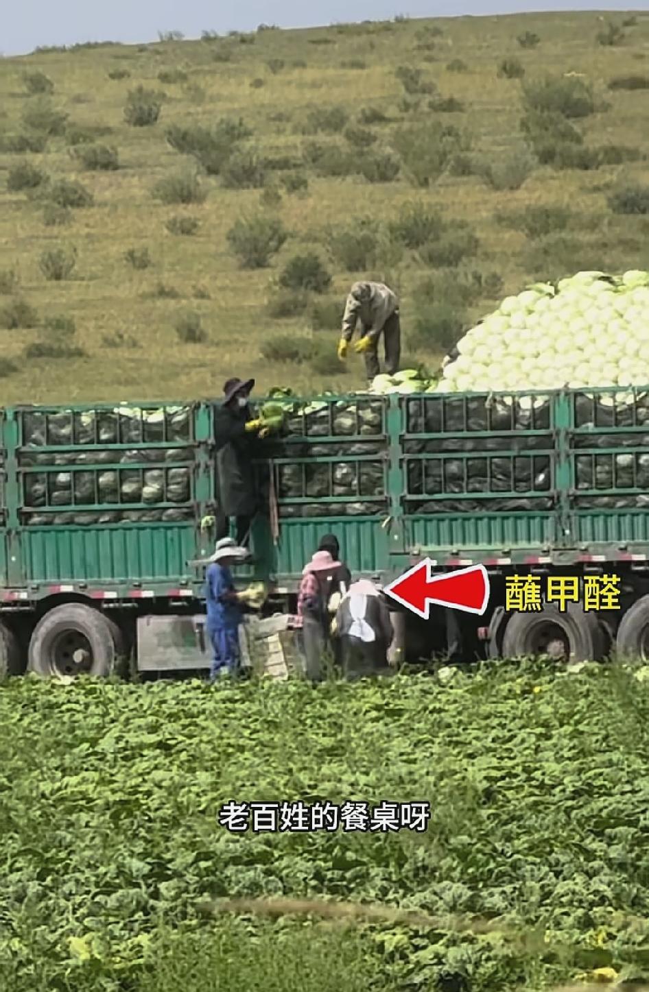 看到胡锡进发文对环保博主“渔猎齐哥”表示由衷的钦佩之意，并且为作为媒体人的自己感