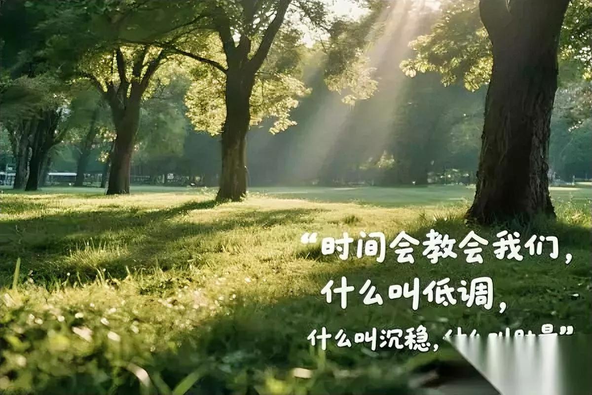 “狂”字一上头，命就打折。

别急着反驳，先看这句——

昨晚饭局，年薪百万的哥