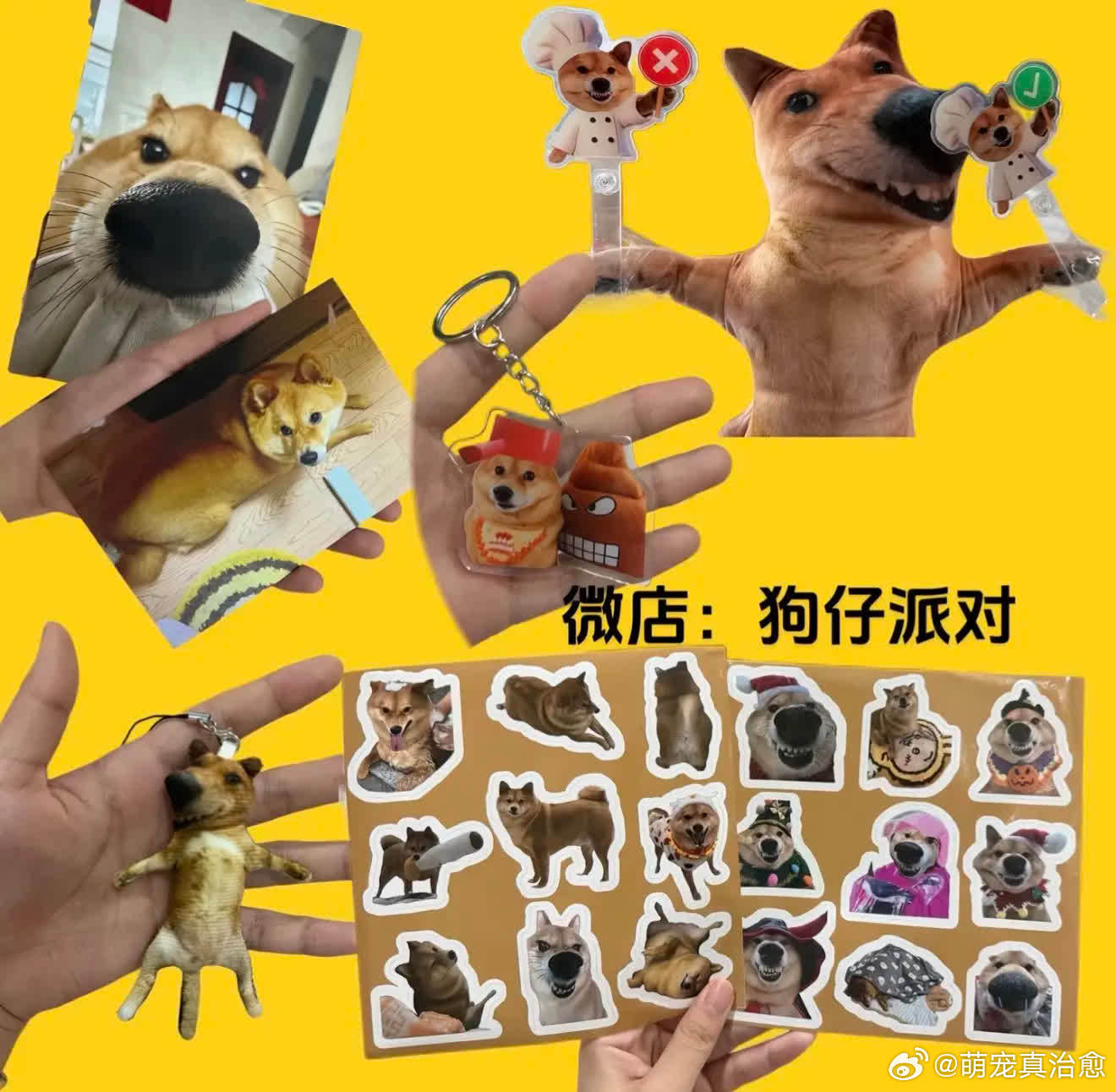 仔仔十件套补货啦。现在小凑毛不多了 好多仔家军被凑晕啦 先到先得 想要闻闻有多凑