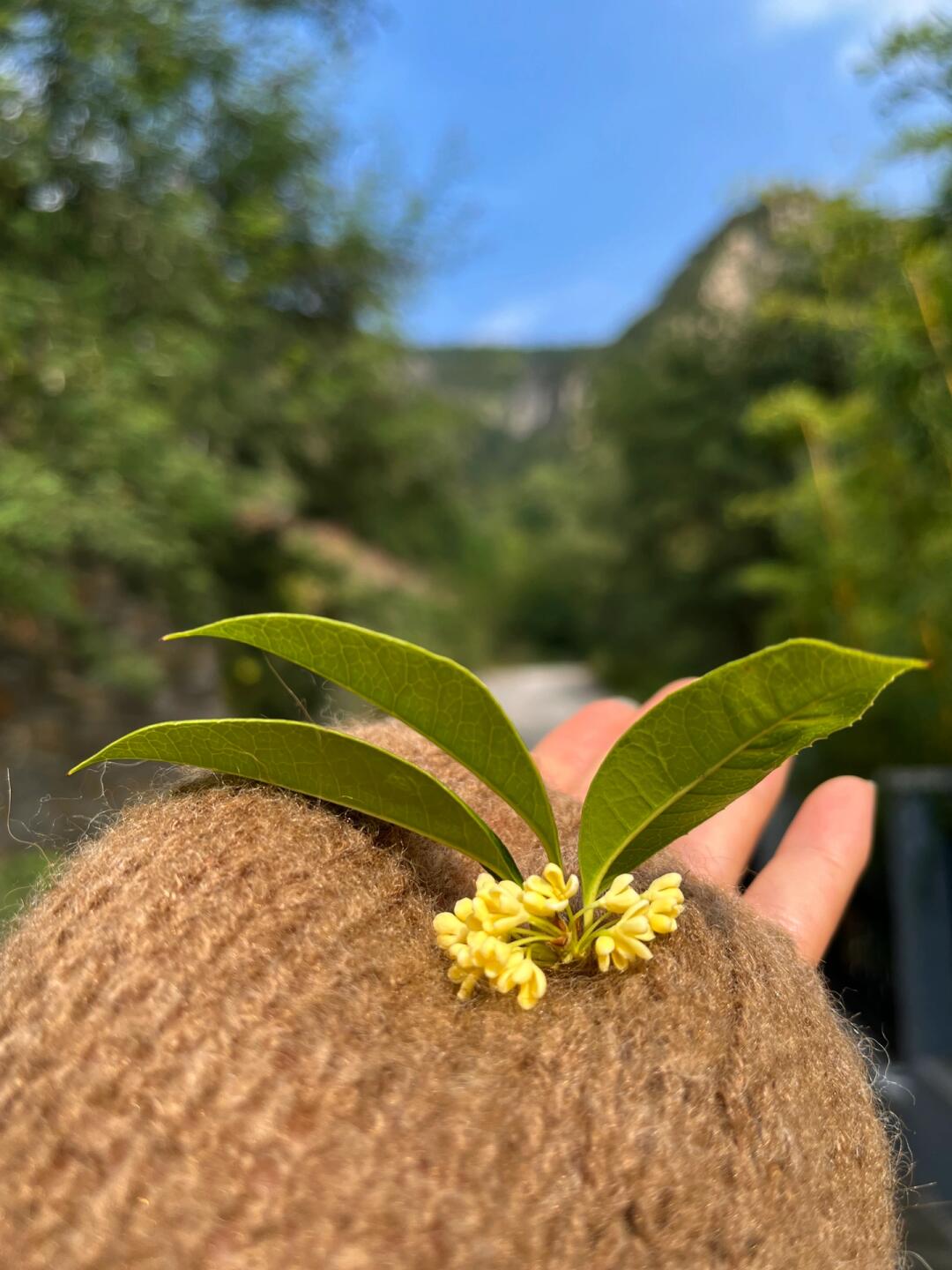 堪比“补药”的假期计划，滋养身心。