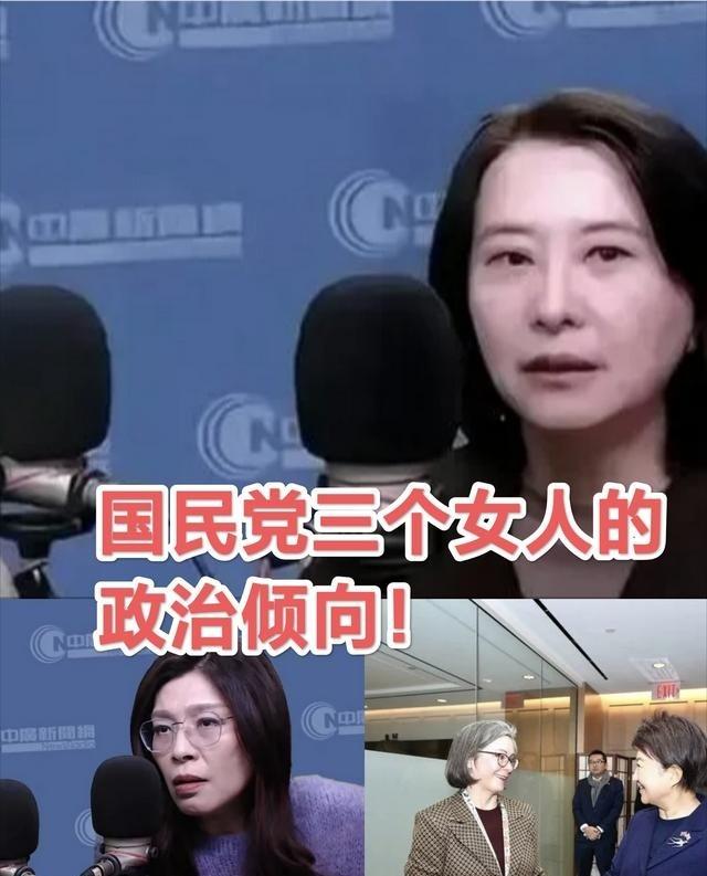 国民党“立委“王鸿薇在节目中威胁中国大陆：如果解放军再围台军演的话，国民党将与民