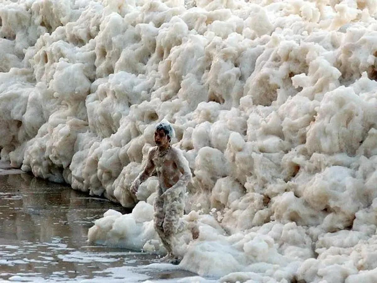 神奇又有点恶心的自然现象：“卡布奇诺海岸”

2007年8月，澳大利亚新南威尔士