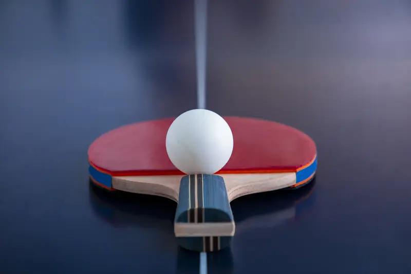 第十五届全运会乒乓球赛堪称“地表最强比赛”，吸引众多目光。赛场上有个有趣现象，很