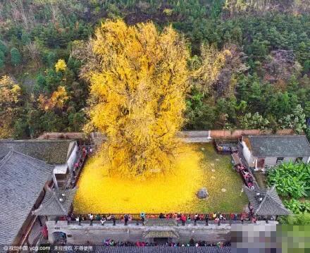很多矛盾的句子
不谈过往
牢记历史
不忘初心
忘记过去就意味着背叛
历史是一面镜