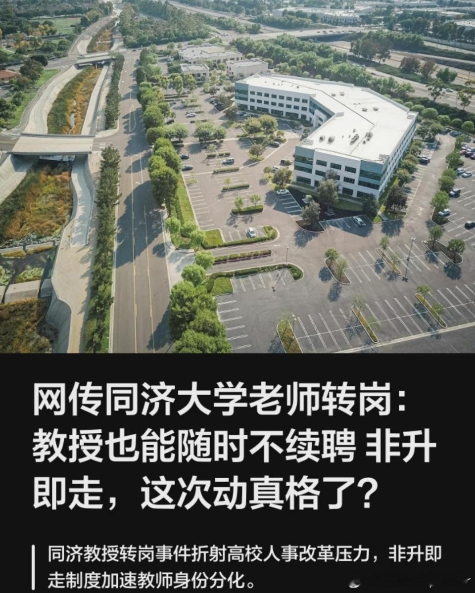 同济这步棋走得果断！打破一聘定终身，把铁饭碗换成动态考核。表面是压力，实则是给真