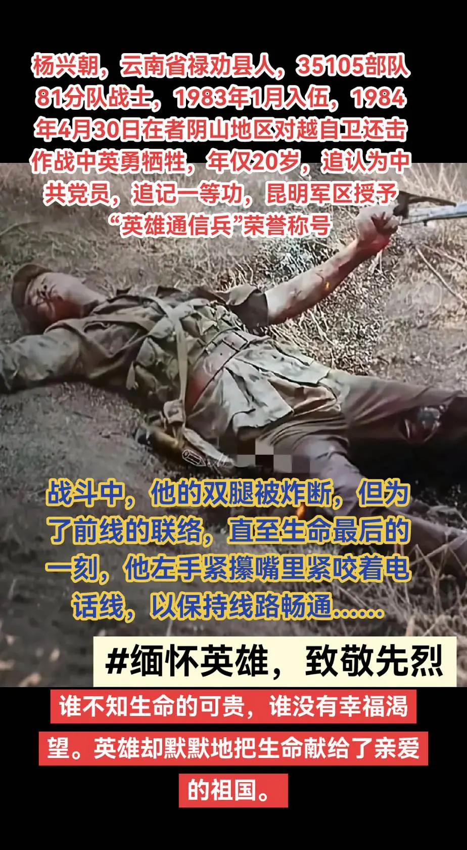 清明将至，缅怀英雄，致敬先烈。