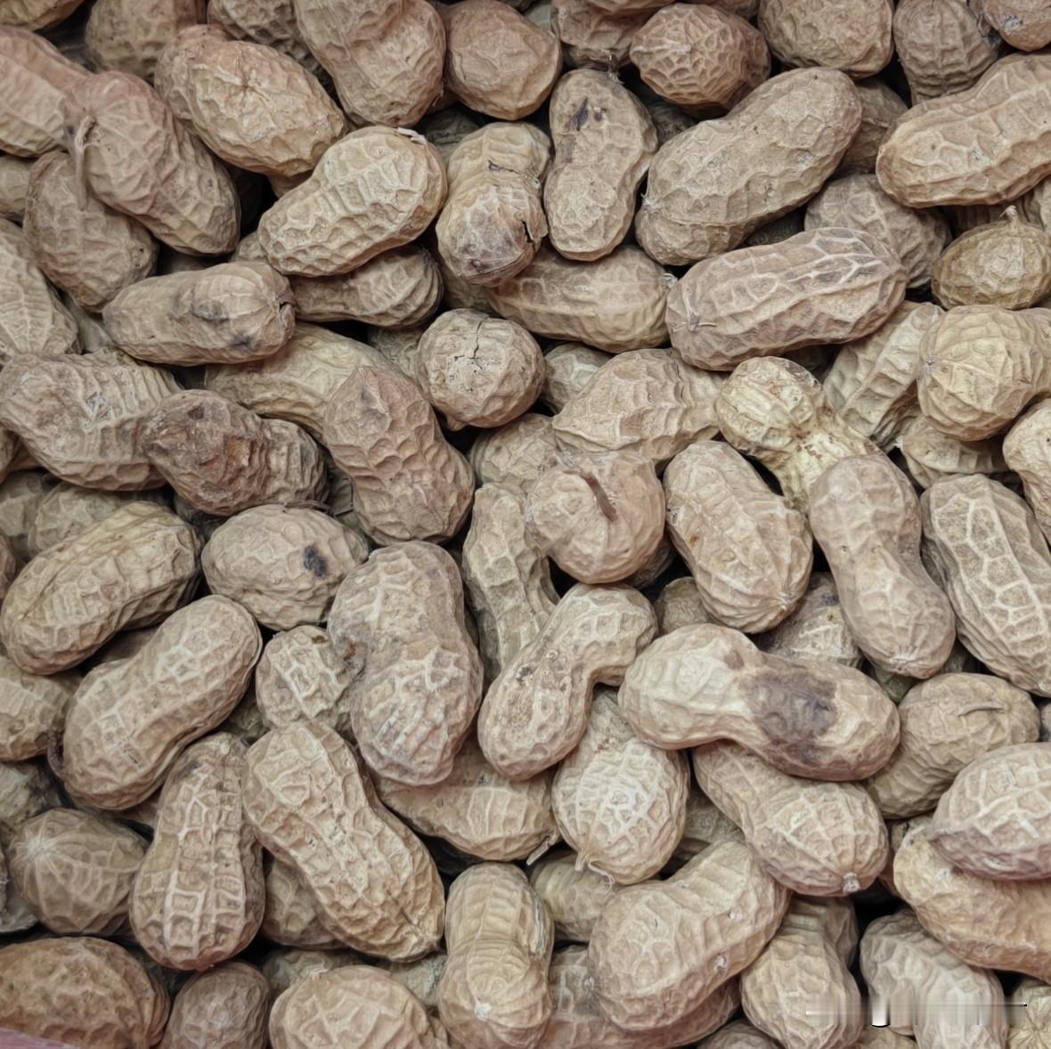 我实践过，种花生连续种在同一地块，会出现3种现象。任意一种就会影响产量。
一是出