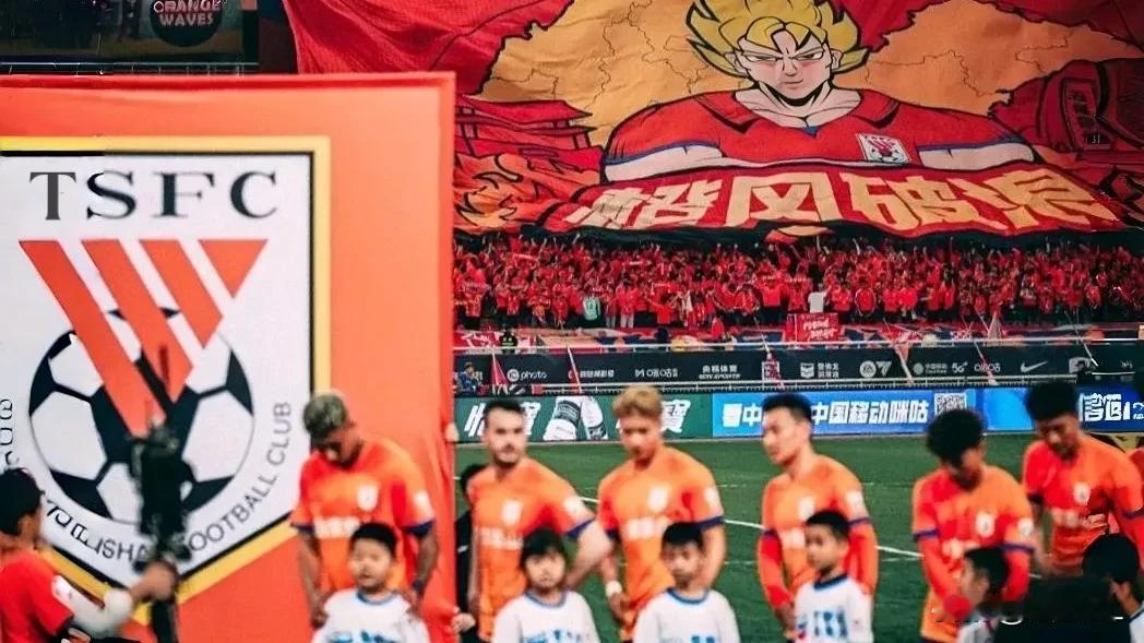 山东泰山陷入生存危机，各队球迷有话要说:
  1、北京国安、上海申花、津门虎:中