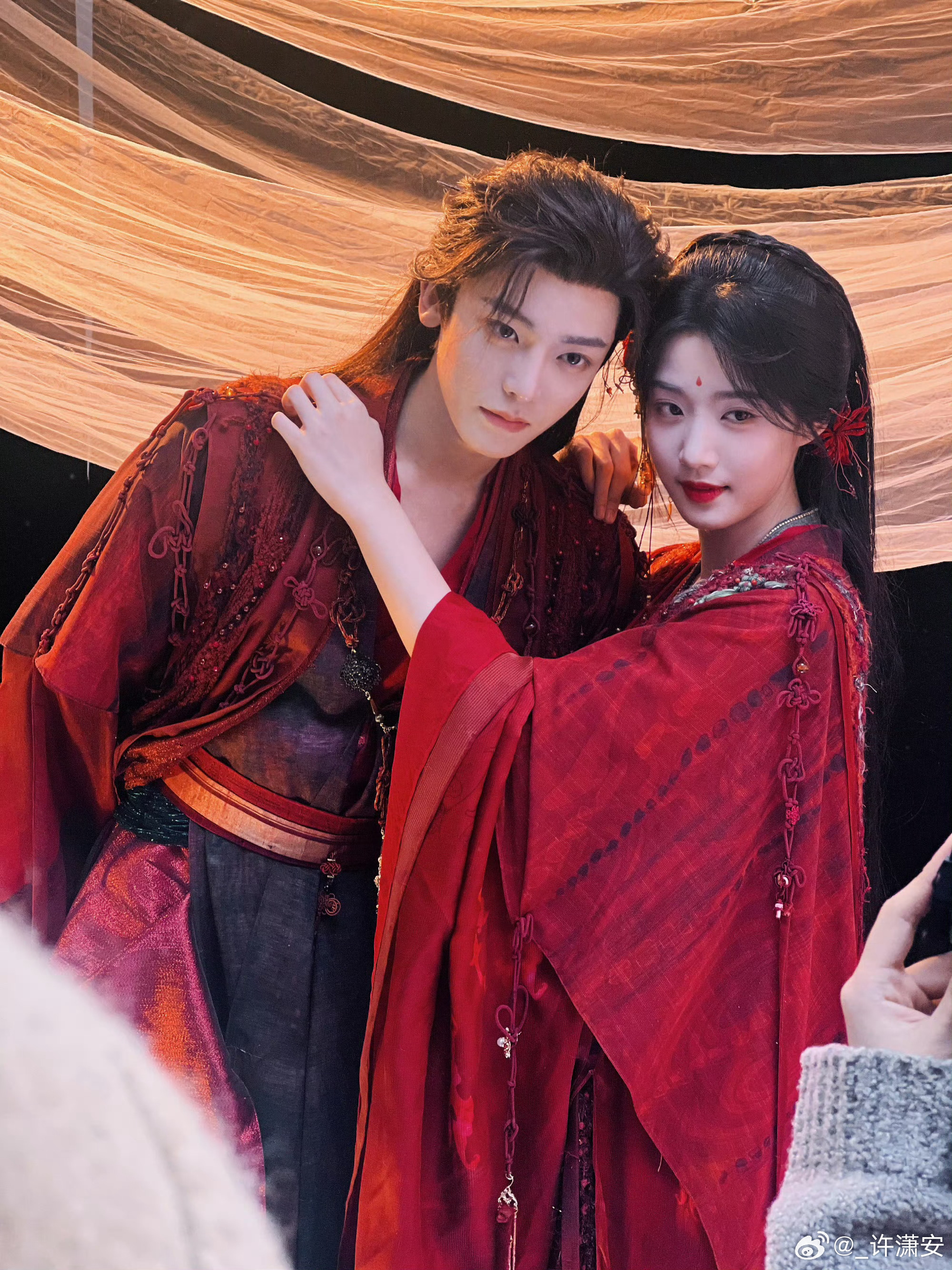 又让我想起这对只生不养的…… 