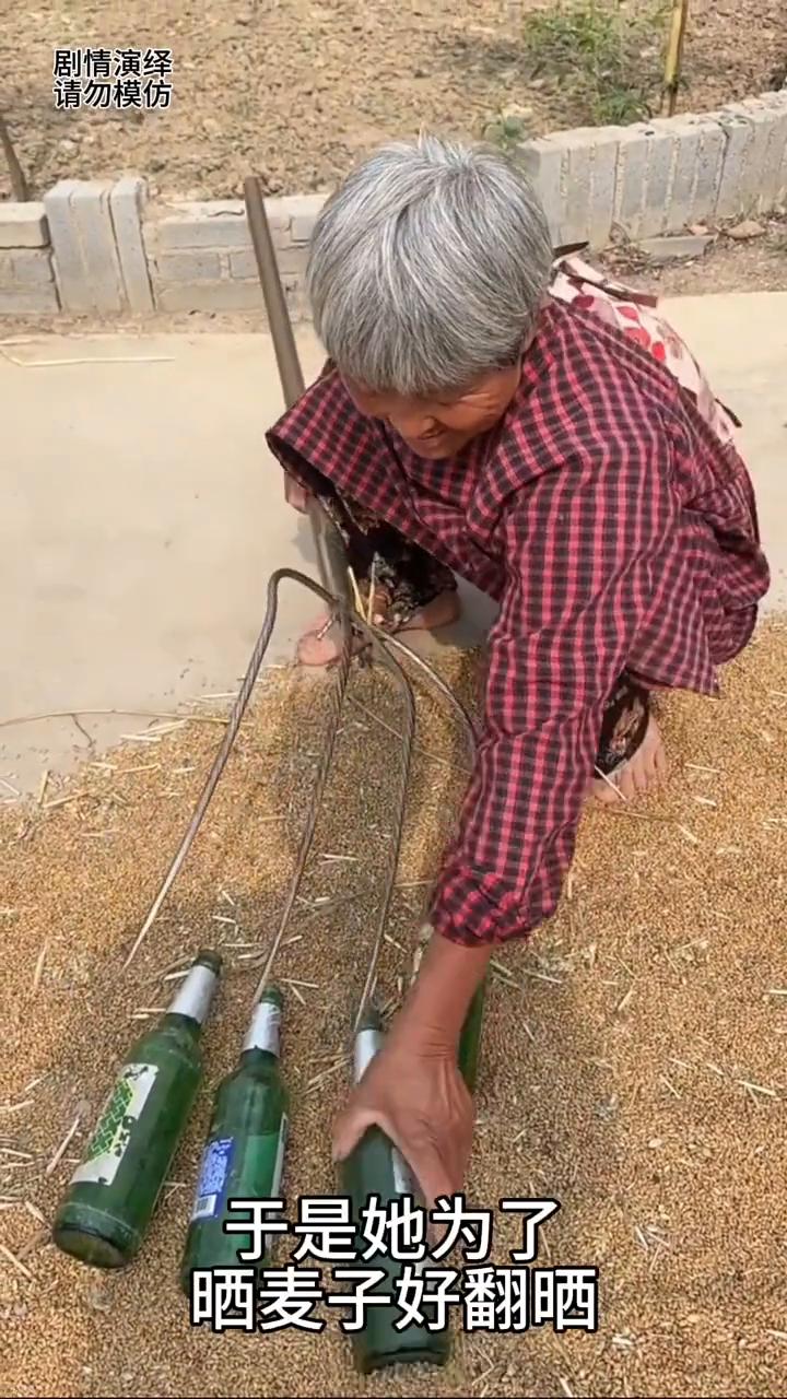 大婶的小麦收完了，于是她为了晒麦子好翻晒。只见她巧妙将啤酒瓶放叉子上，她想着这样