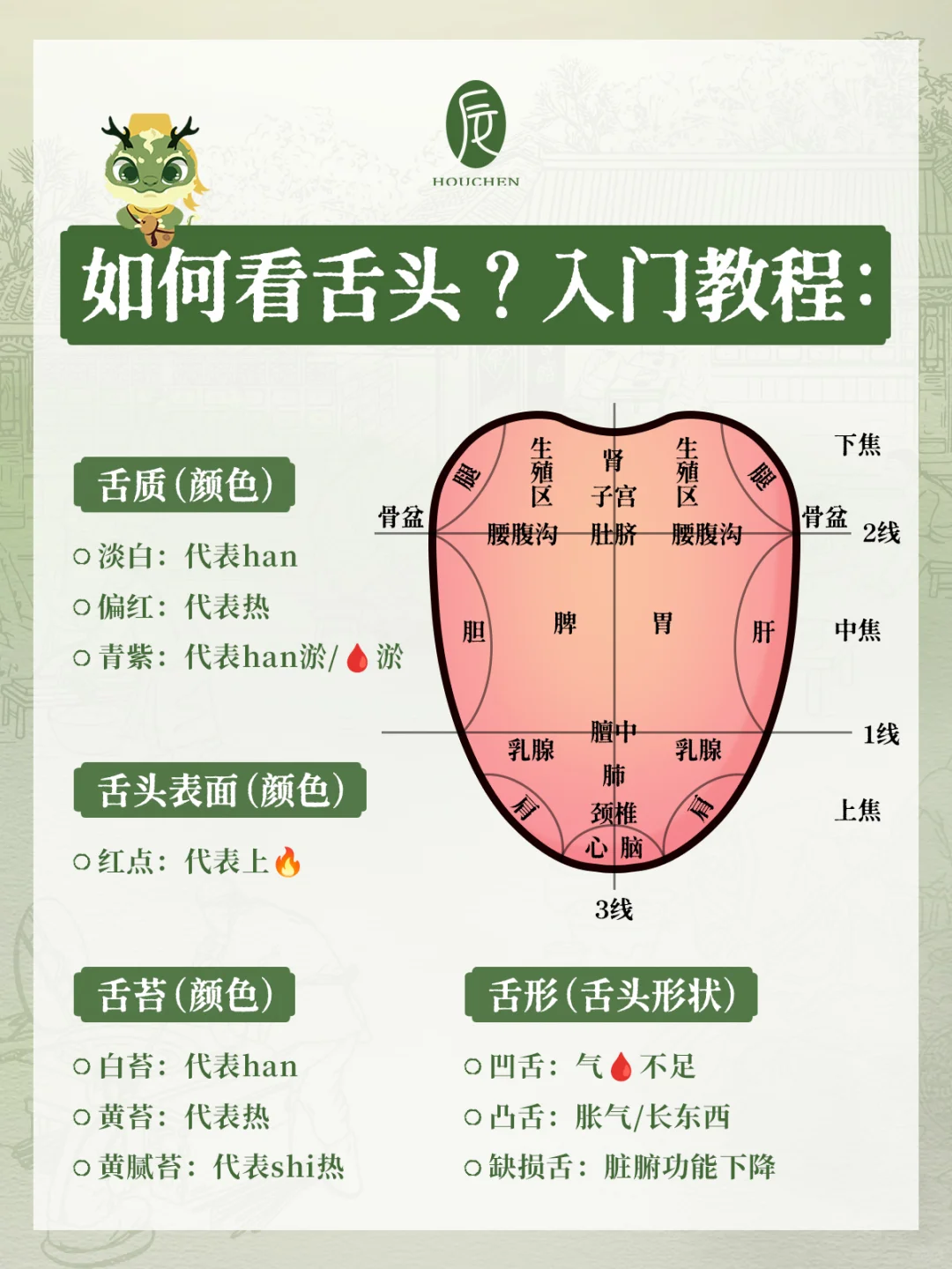 价值1万多的舌诊❗️看舌头就能了解你的身体