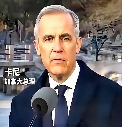 加拿大总理卡尼，亲手撕了剧本。

前脚刚跟着美国，把中国电车的关税加到100%，