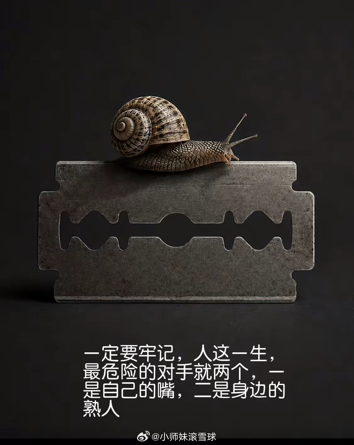 一定要牢记，人这一生，最危险的对手就两个，一是自己的嘴，二是身边的熟人！ 