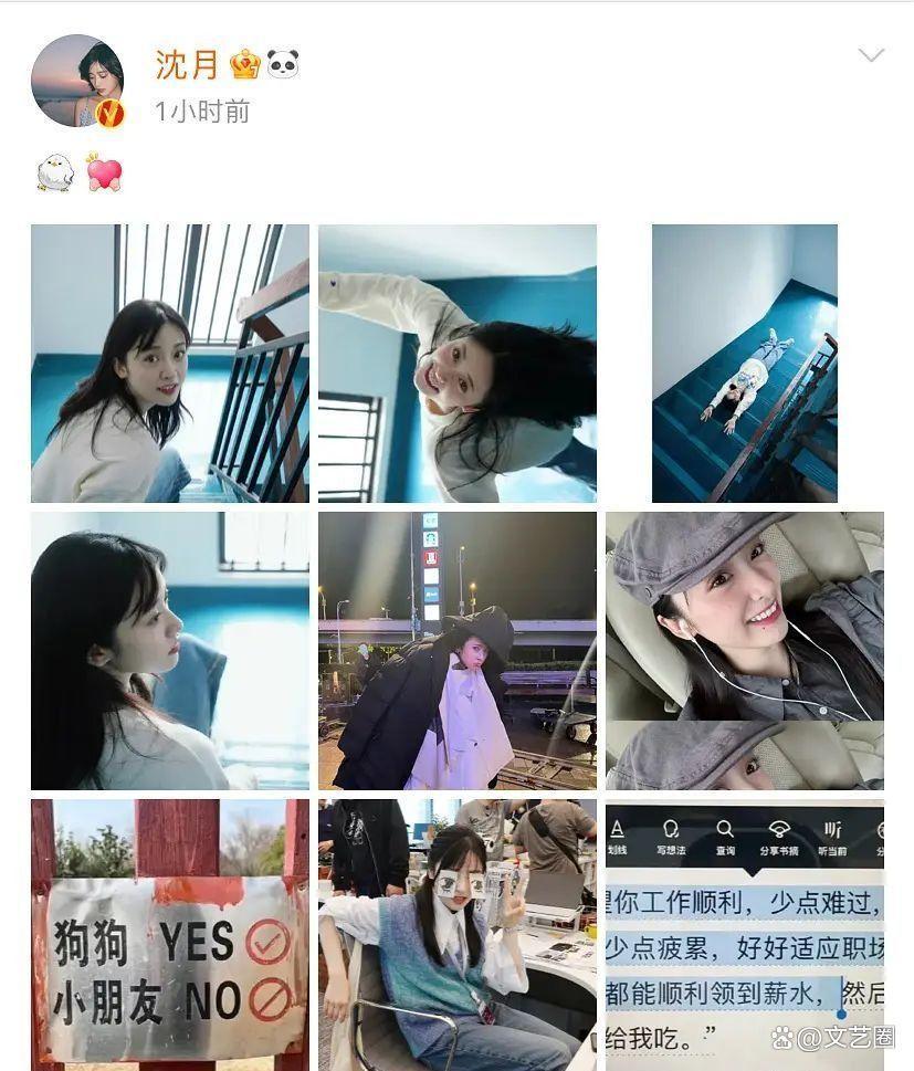 沈月对着小狗说对不起毕竟是会说“狗狗yes小朋友no”的建群姐，只会给小狗道歉，