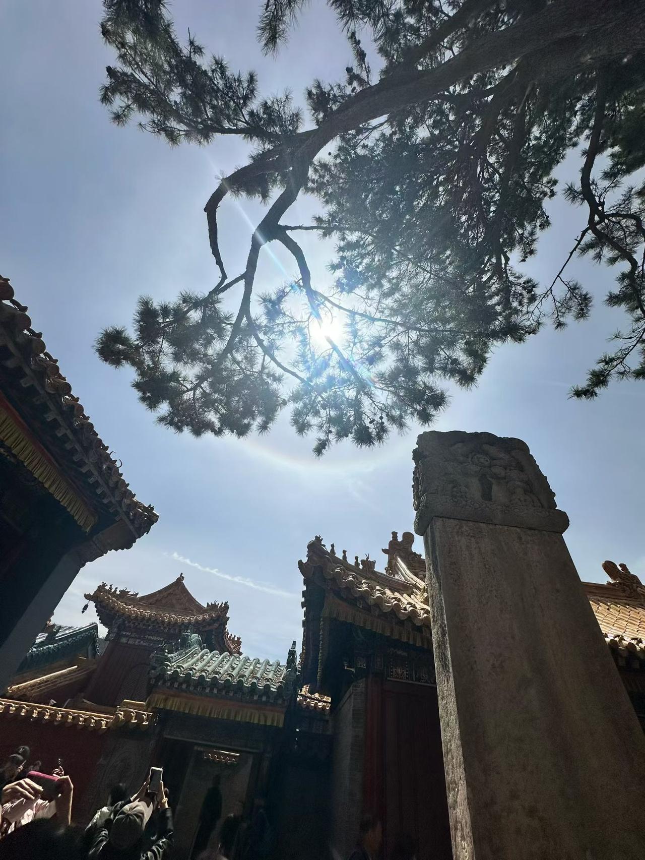 所谓好运，
从不是凭空而来。
而是藏在日复一日的努力与坚持里，
踏实做事 ，认真