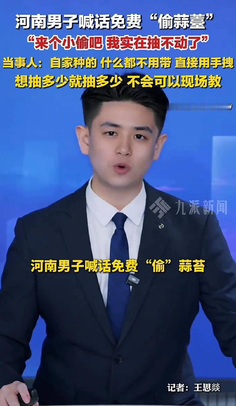 河南男子喊话免费“偷蒜台”，上了热搜，很多媒体报道这事。因为蒜薹不拔出来会影响大