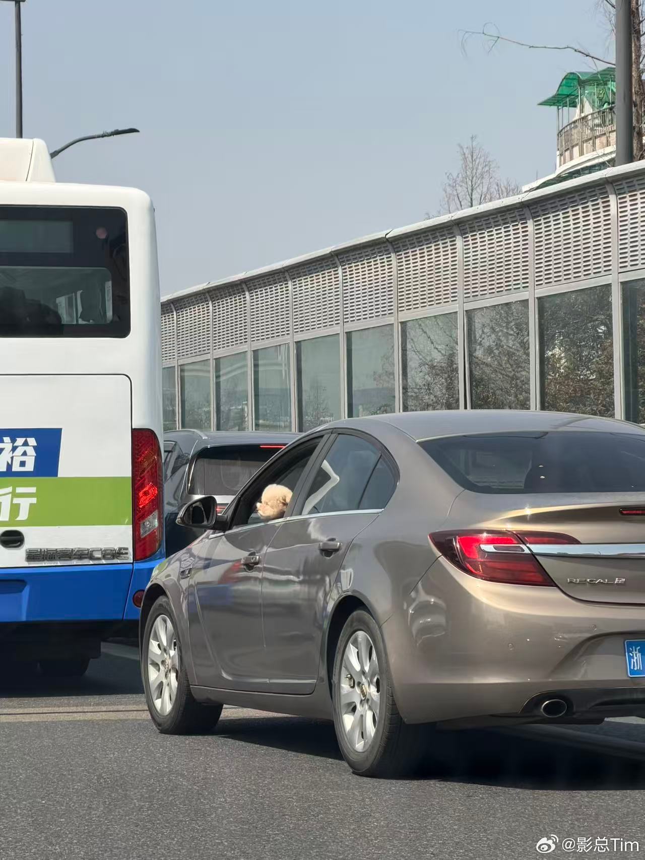 智驾博主没有车，你敢信吗 咱就是说，只靠媒体试驾混的老师真的能讲好智驾吗🤔 