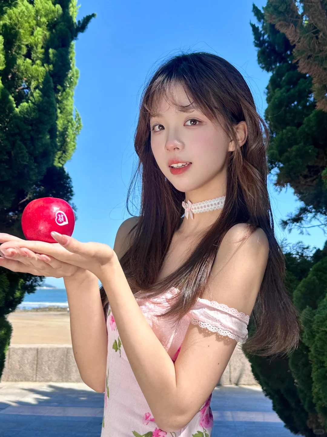 青岛海边的一抹粉红🌸