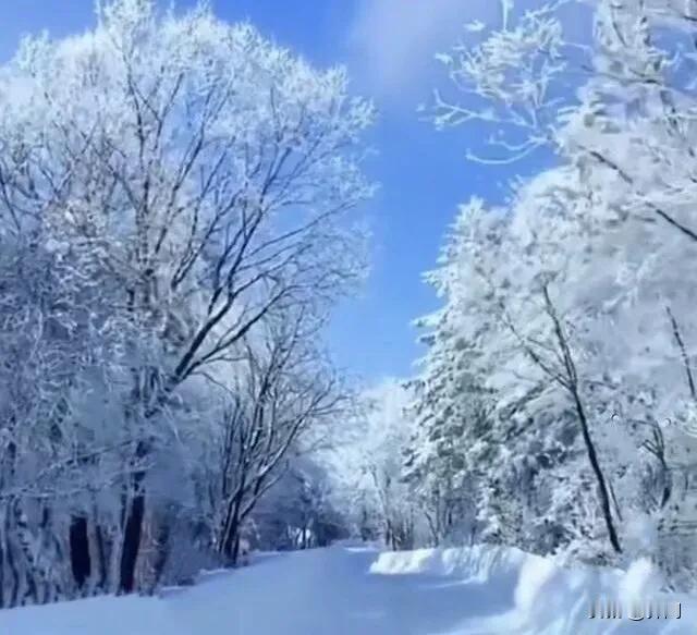 【七律•飞花入户律交寒】
飞花入户律交寒，满目青竹把首弯。
几缕斜阳铺碧水，一堤