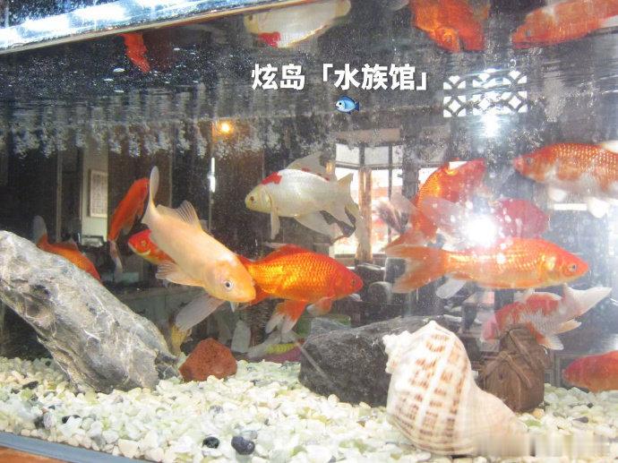 关晓彤立秋片场照关晓彤自己吃的vs片场请大家吃的关晓彤立秋的片场分享！自己吃健康