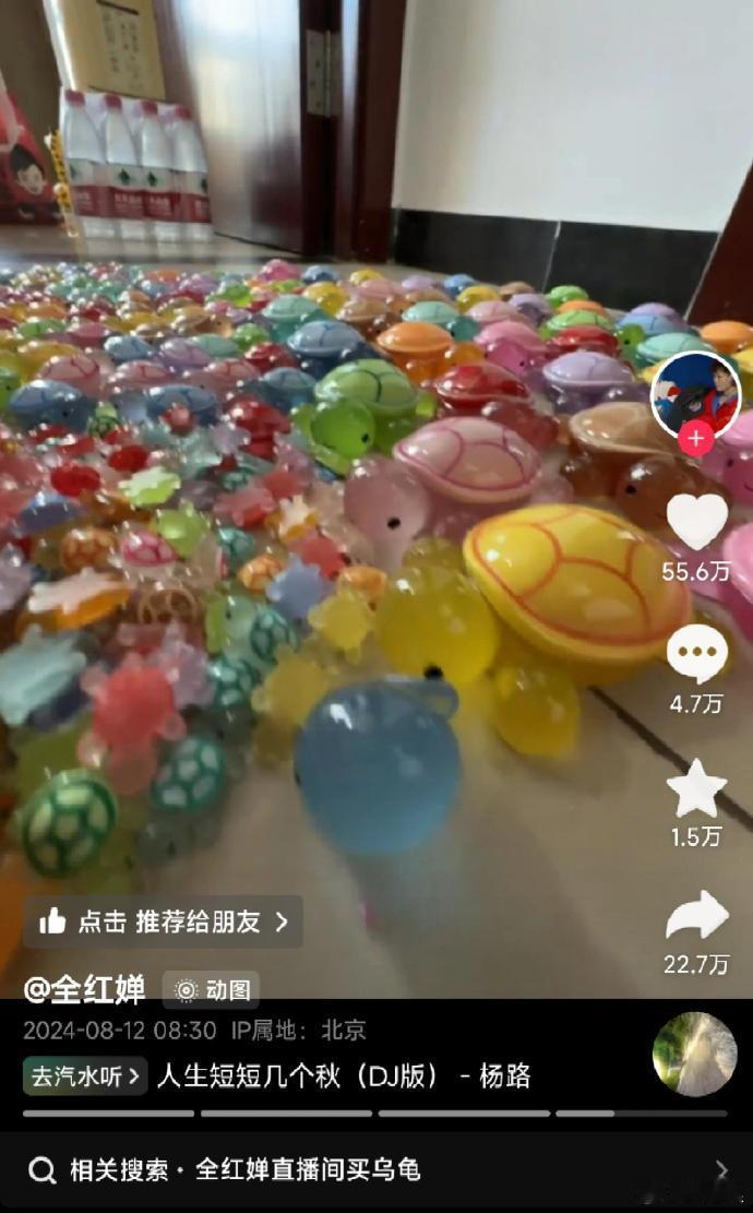 全红婵17岁正是喜欢盲盒的年纪，老板脸都要笑烂了！ ​​​