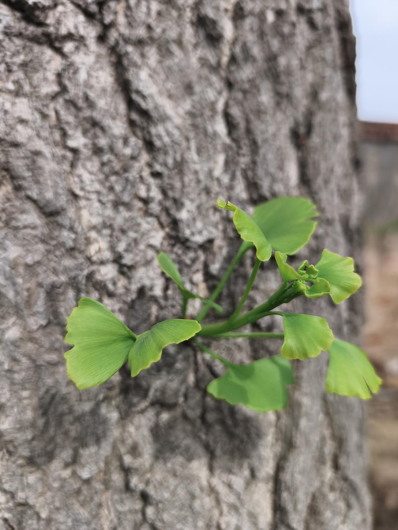 听了一些故事，也想了一些事儿，甚至想了想那些过往。
人们常说，三十年河东，三十年