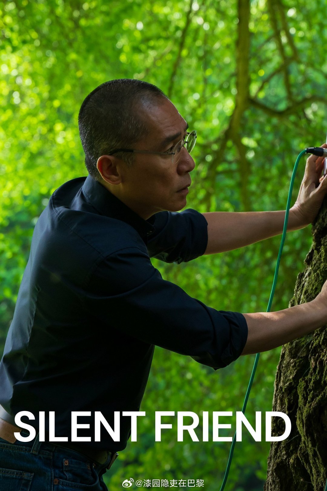 昨晚，是因为梁朝伟，我走进电影院。昨天在法国首映场看了《寂静的朋友》（Silen