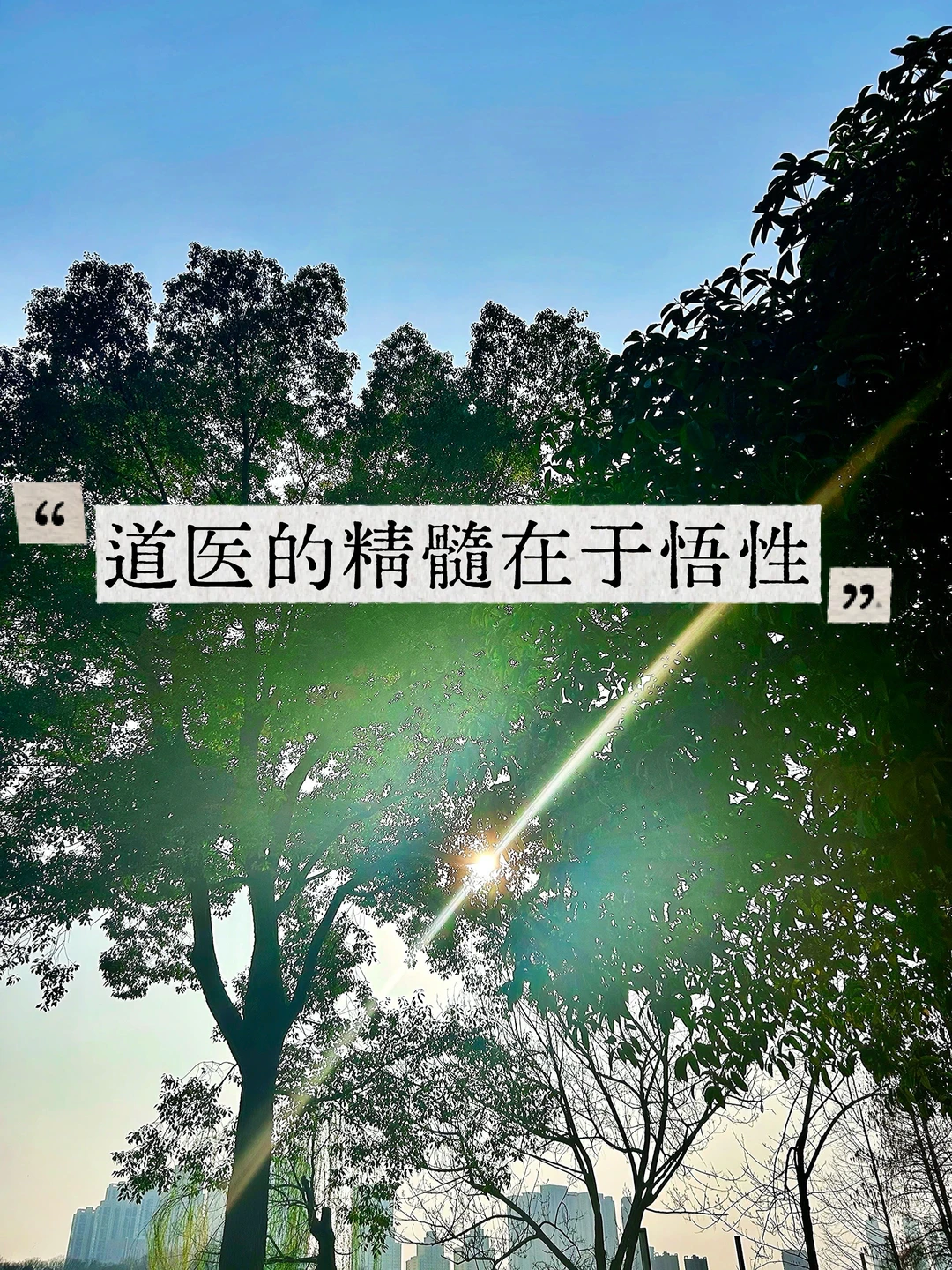道医的精髓在于悟性——不是死记药方，而是去领悟大自然的规律。 人体如小...