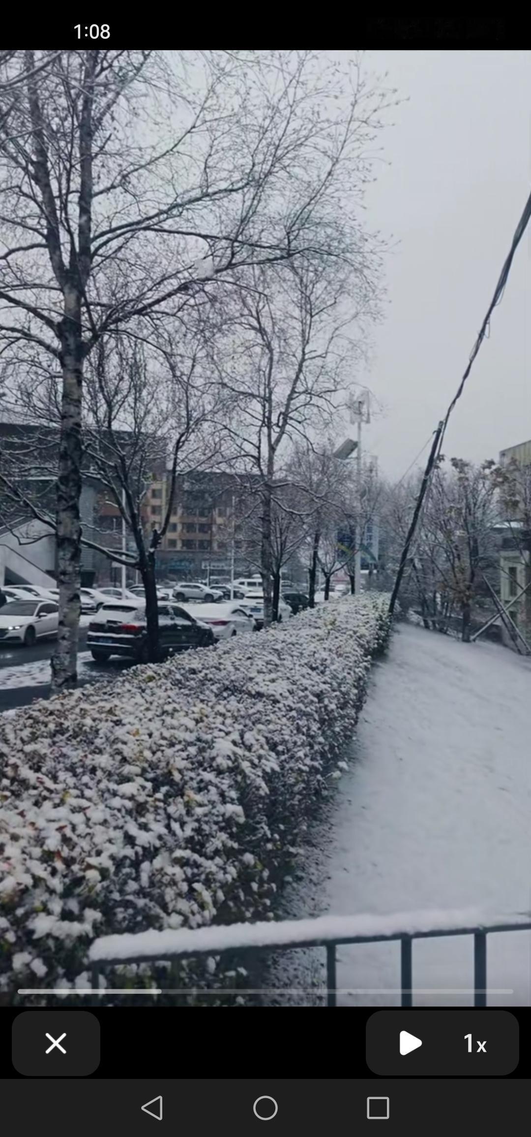 11月15号，吉林市迎来了首场大雪，整座城市银装素裹、玉树琼花，美极了！

今天