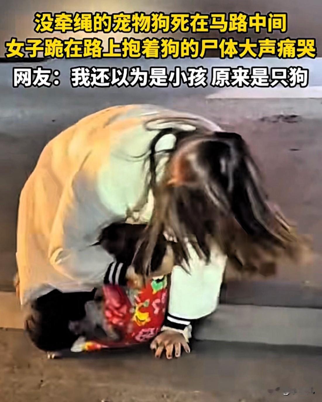真是服了！浙江，一宠物狗没拴绳，在马路中间被车撞死，狗主人抱着狗的尸体在路上痛哭