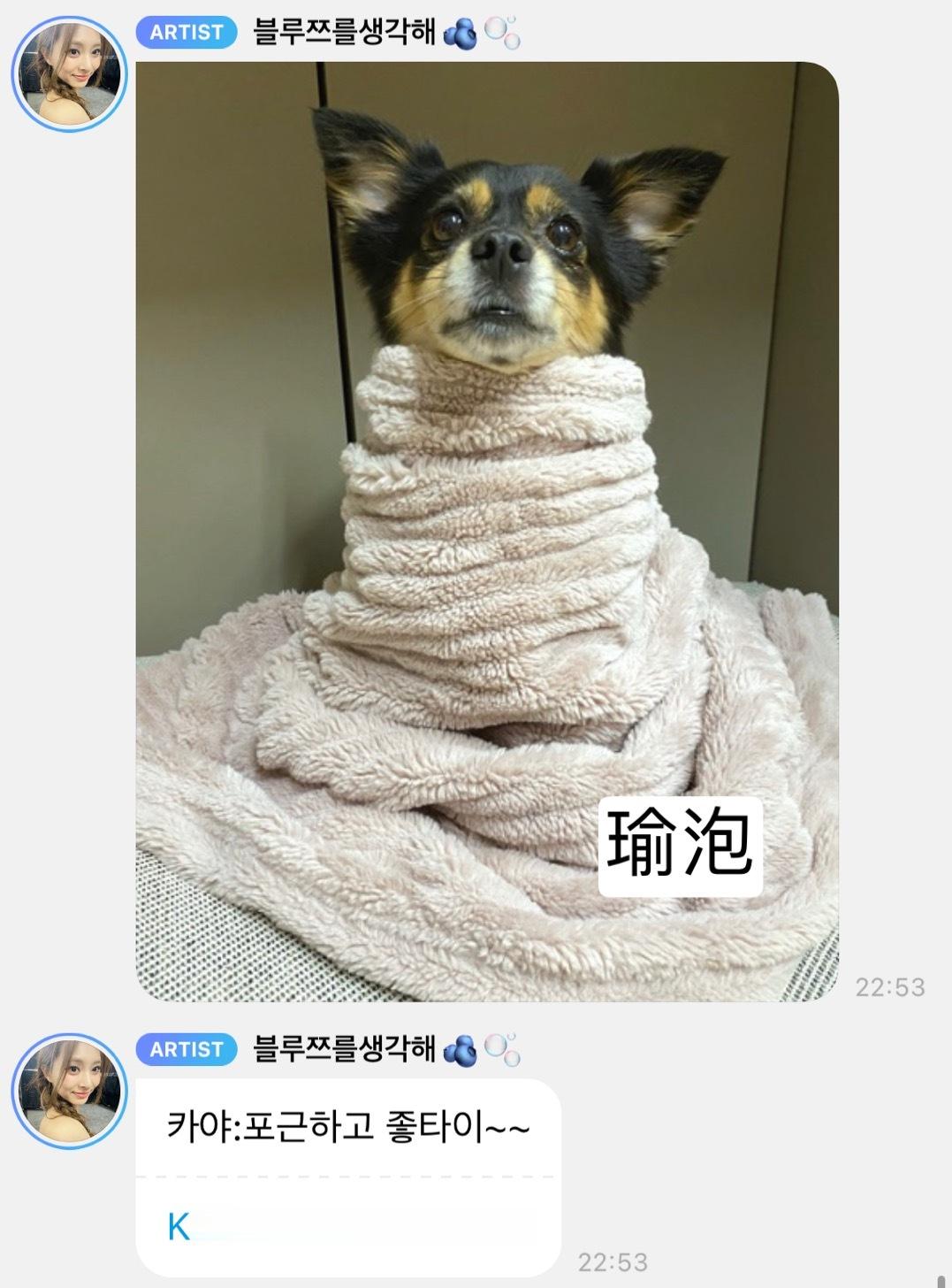 【1113号来信】宝宝你也很美好很纯真很善良 ​​​