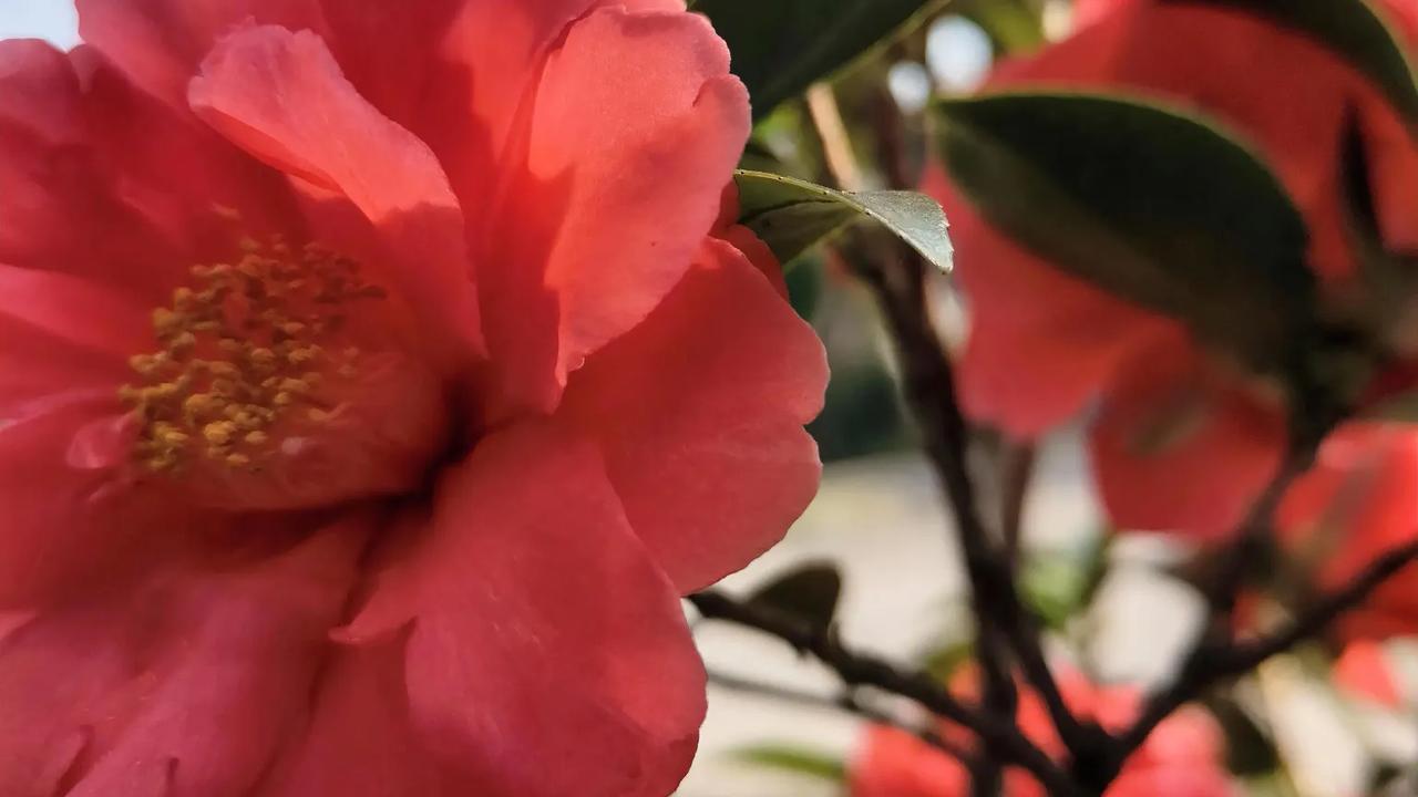 六十岁的我，退休三年有余。由于缴纳社保的时间短，且缴纳档次低，领取的退休金自然少