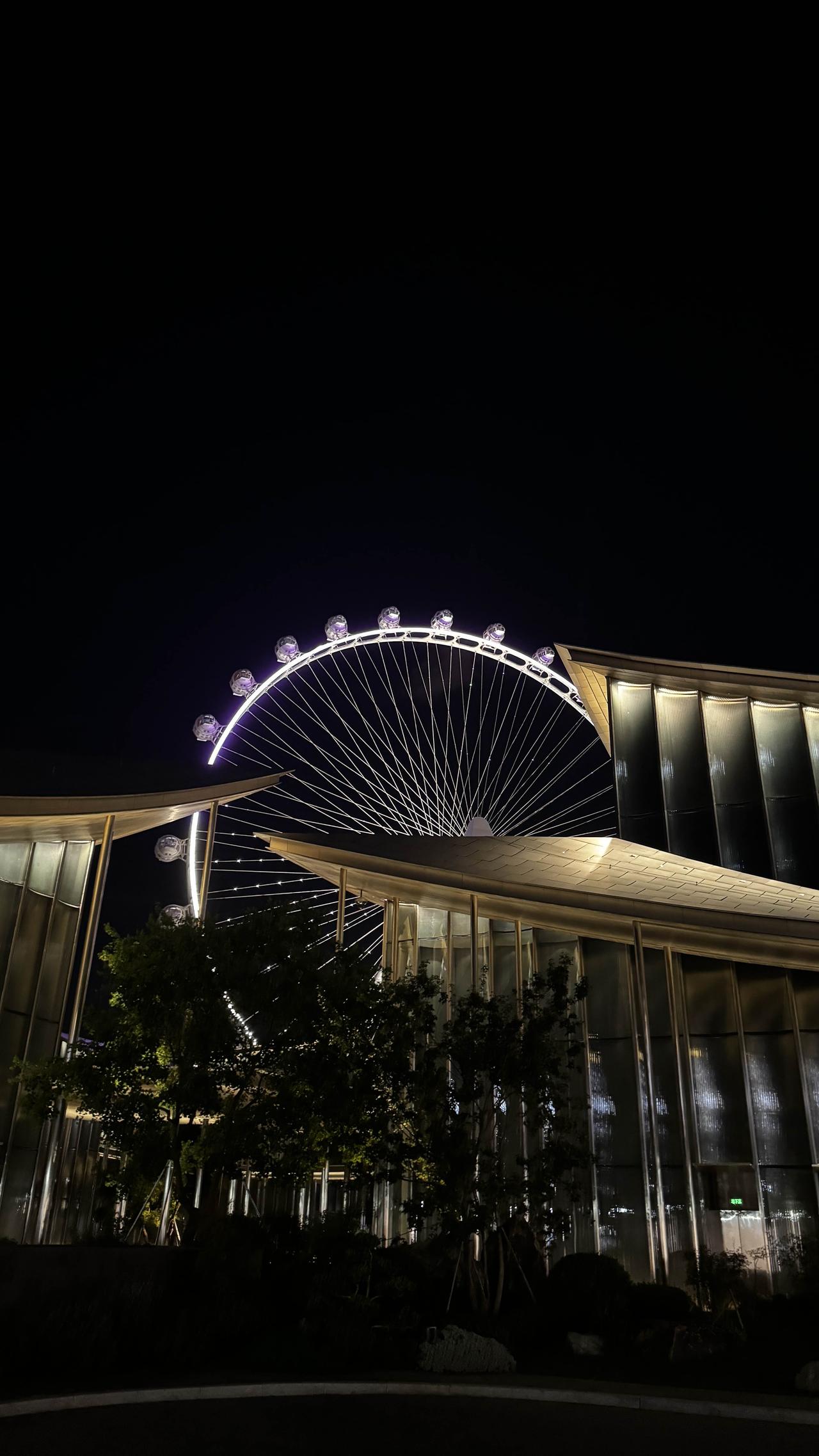 分享夜幕下的城市夜景城市入夜，赴一场摩天轮的星光之约。
