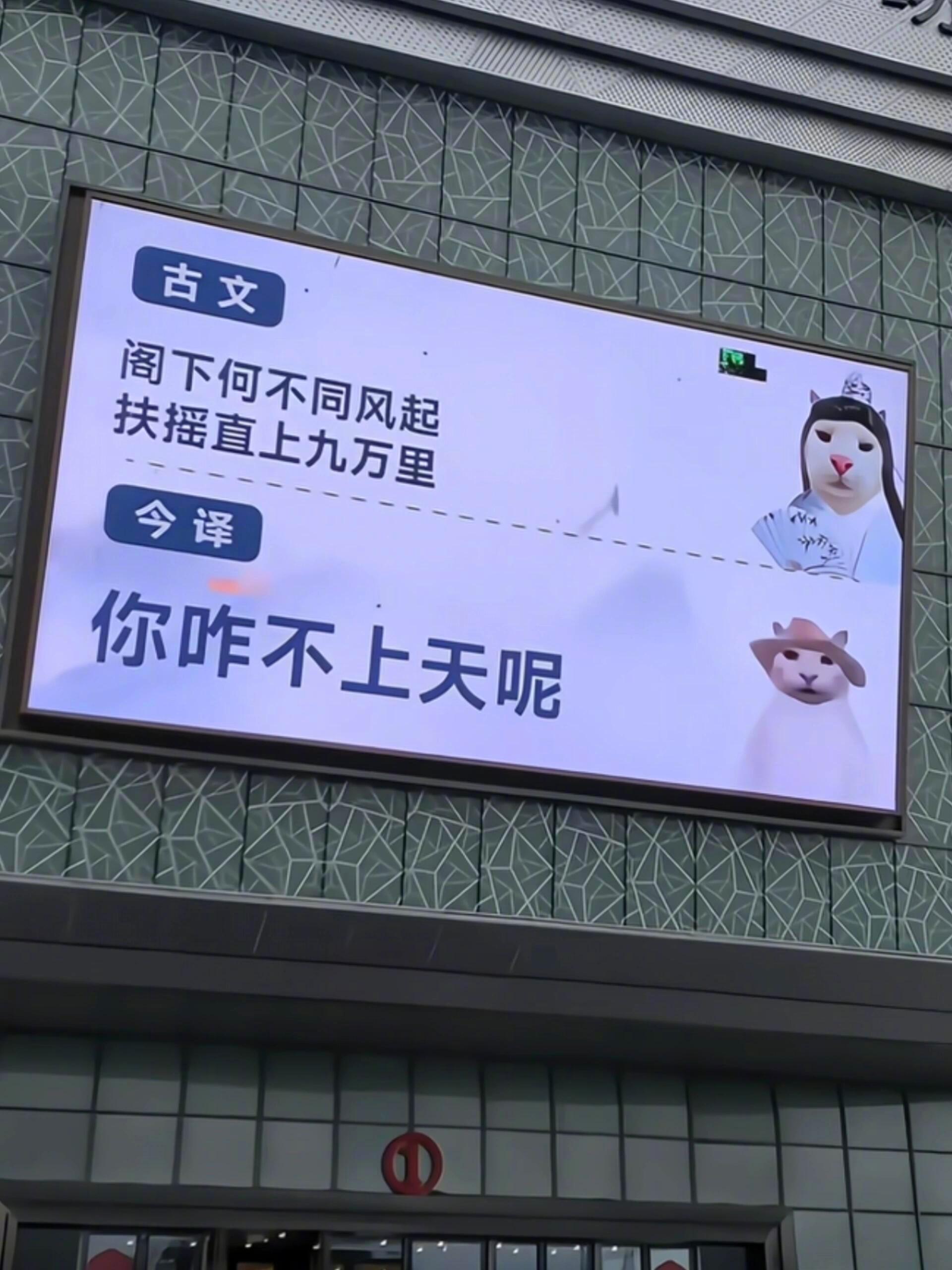 分享图片 