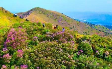 探秘大自然的鬼斧神工，感受大峡谷的壮丽与神秘！🌄🏔️