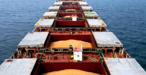 解释不清了！当一船满载6.9万吨巴西大豆的货轮靠泊江苏泰州码头时，谁也没想到，大