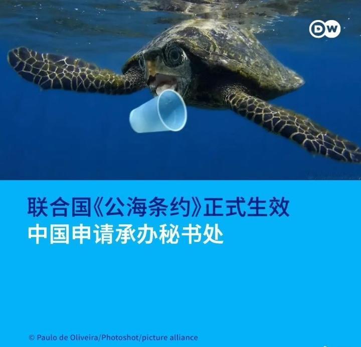 联合国《公海条约》正式生效，中国申请承办秘书处。
中国作为《联合国海洋法公约》缔