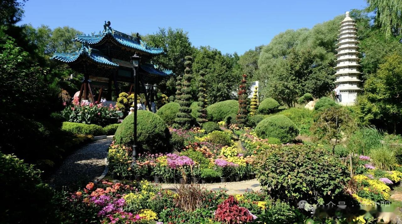 沈阳秋日顶流！第26届菊花文化周9月25日启幕✨白天赏菊逛市集，夜看光影秀
 