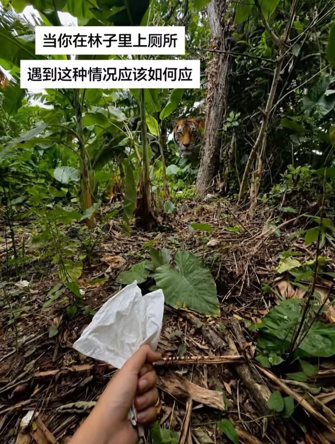 遇到这种情况应该如何应对？