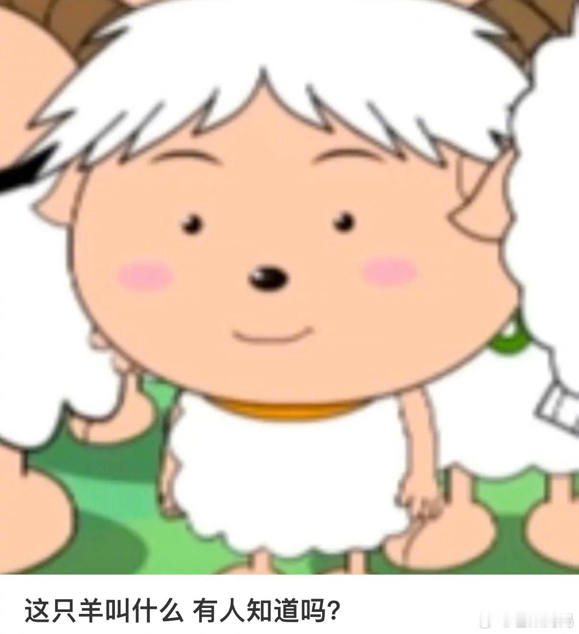 毛不易：你一点都不礼貌[微笑] ​​​