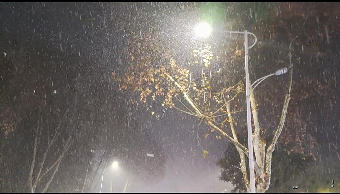 拿起头条的发布窗口却不知道要写什么，真的是一点思路也没有，还真被有些人说对了。如