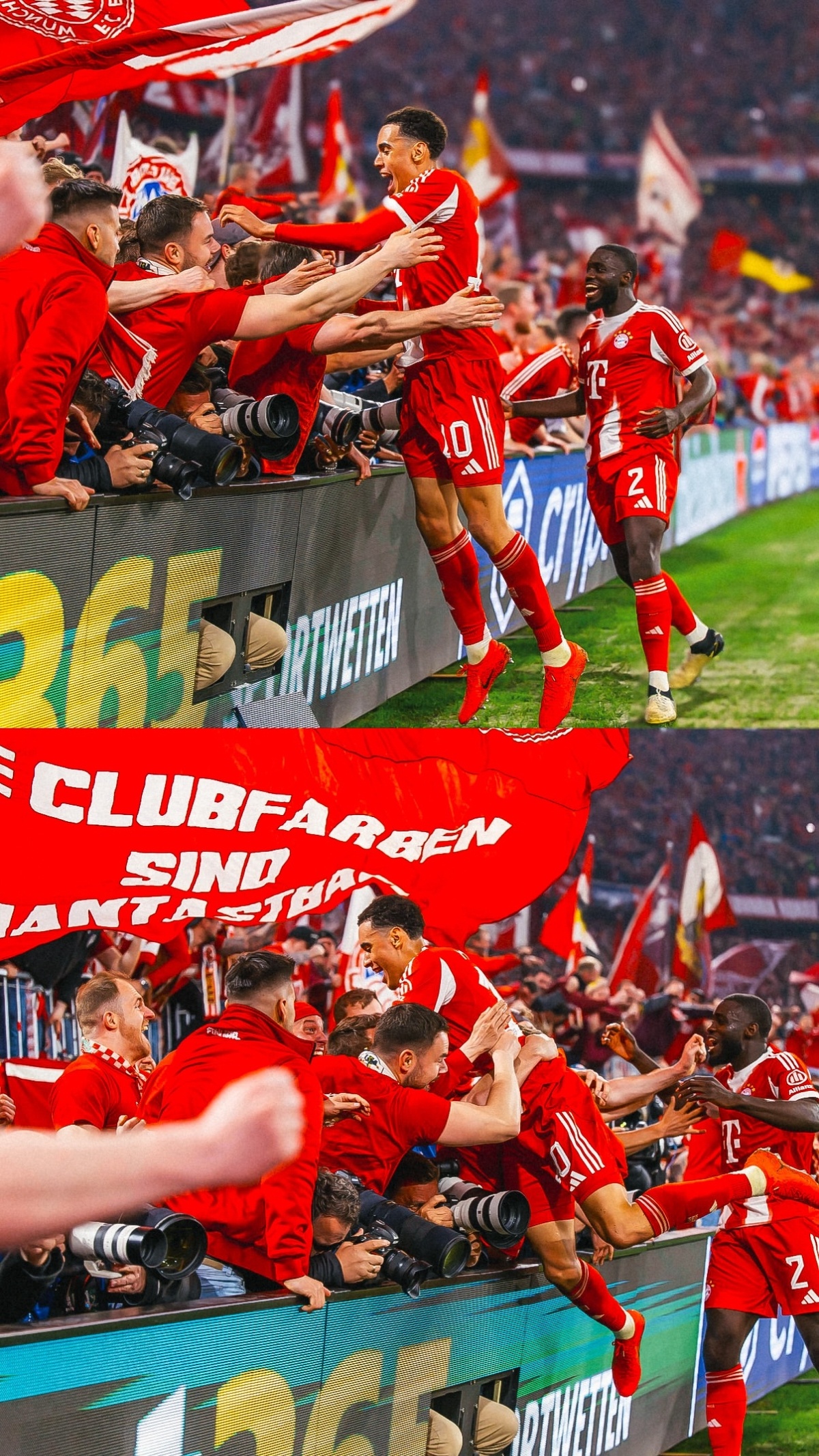 夏拉真的太可爱了